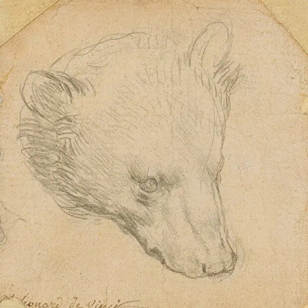خرس ۱۷ میلیون دلاری لئوناردو داوینچی