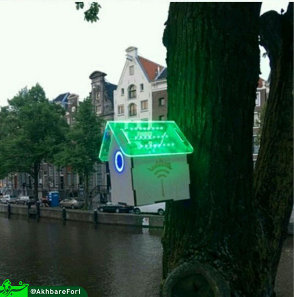 اینترنت رایگان روی درخت‌‌های آمستردام