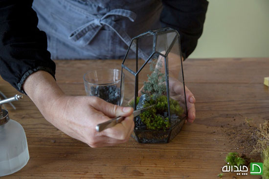 ساخت تراریوم، باغ شیشه‌ای کوچک در دکوراسیون منزل