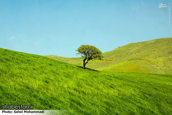 طبیعت محشر کردستان