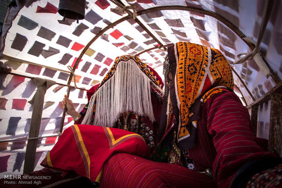 عکس: آئین سنتی عروسی ترکمن