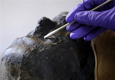 پاکسازی مومیایی ۲۵۰۰ ساله +عکس