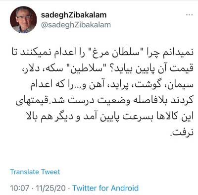 زیباکلام: «سلطان مرغ» را هم اعدام کنید!