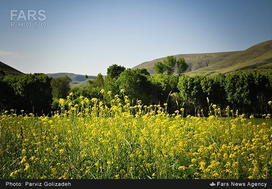 عکس: طبیعت بهشتی ارسباران