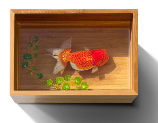عکس: ماهی‌های واقعی یا نقاشی سه بعدی؟