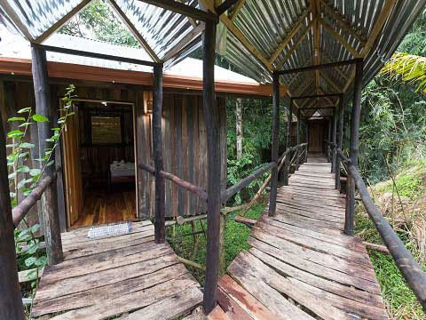 عکس: هتل‌ هایی در دل جنگل