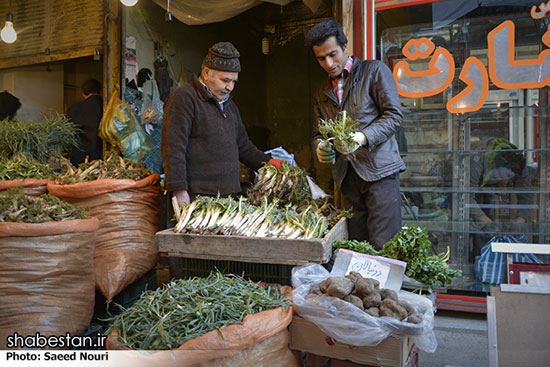 خرید و فروش گیاهان کوهی در ارومیه +عکس