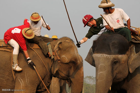 مسابقات جهاني پولوی فيل ها در نپال‎