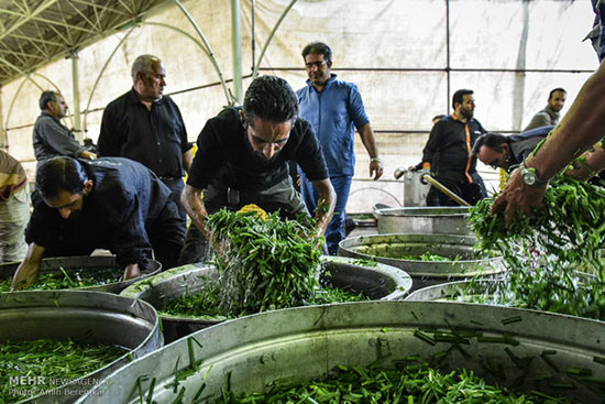 طبخ بزرگترین آش نذری جهان در شیراز