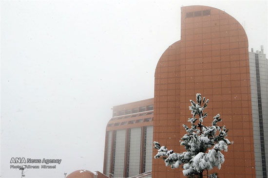 عکس: بارش برف در ارتفاعات تهران