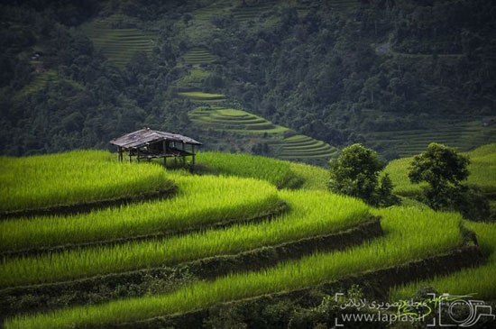 عکس: زیبایی مسحور کننده ویتنام
