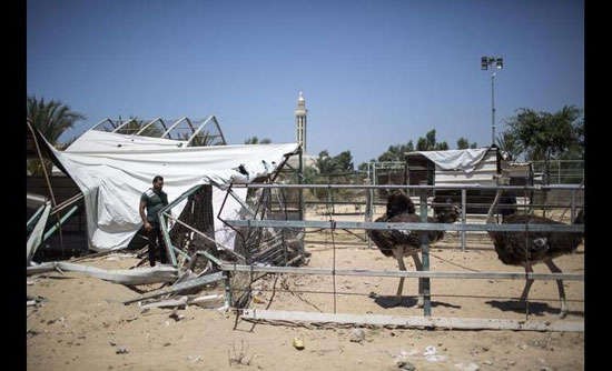 تصاویری دردناک از بمب‌ باران باغ وحش غزه