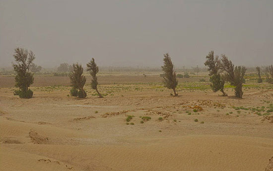 (تصاویر) نفس سیستان و بلوچستان گرفت