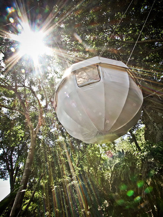 پیله درختی، مکانی امن برای اقامت گردشگران در جنگل
