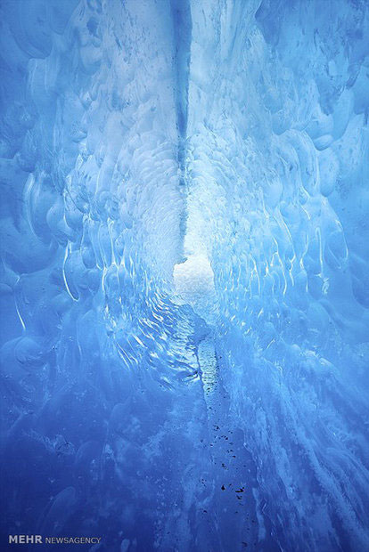 دنیای یخ +عکس