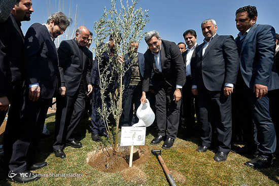 آیین کاشت درخت صلح و دوستی در تهران