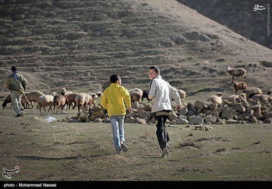 عکس: اینجا صحرای ترکمن است