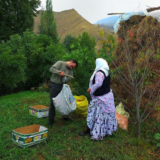 اینجا ایران است (36)