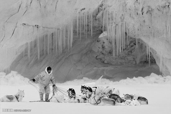 عکس: واپسین روزهای قطب شمال