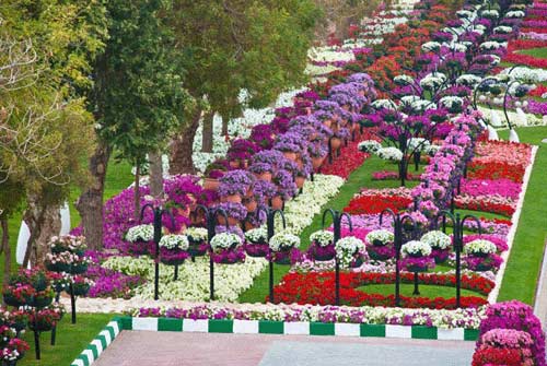 بهشت روی زمین در چند قدمی ایران است