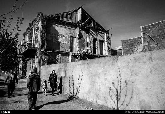 عکس: رها شده در شهر