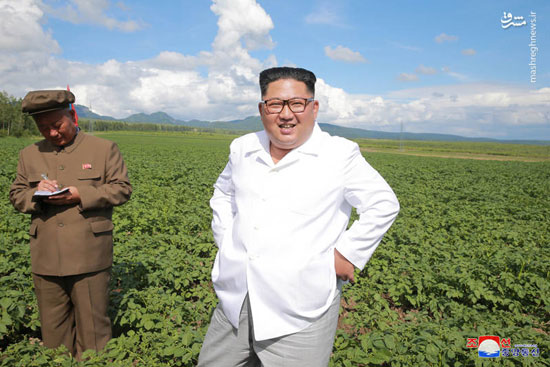 بازدید رهبر کره شمالی از مزارع سیب زمینی