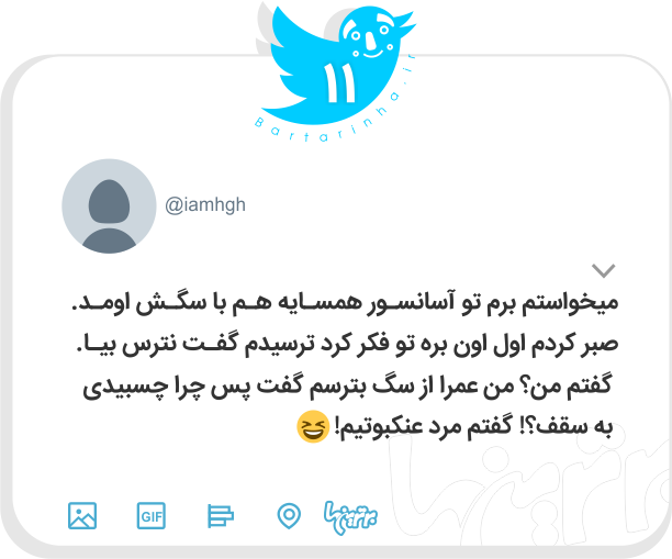 شوخی‌های جالب؛ وقتی دلار میکشه پایین!