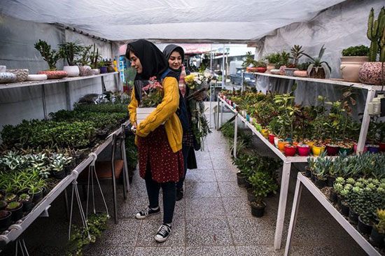 بهترین باغ گل‌های تهران کدامند؟