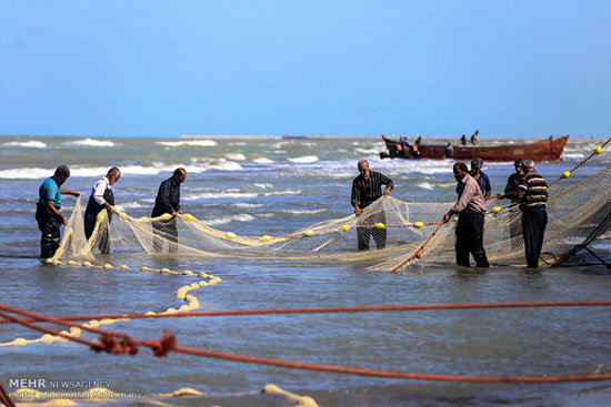 فصل صید در دریای خزر