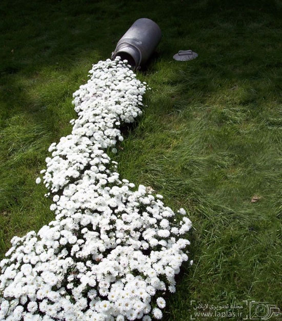 عکس: ابتکار زیبای جریانی از گل در شهر