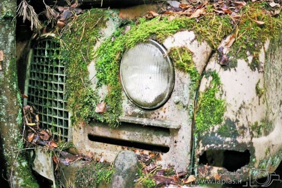 صدها اتومبیل قدیمی پنهان در جنگل!