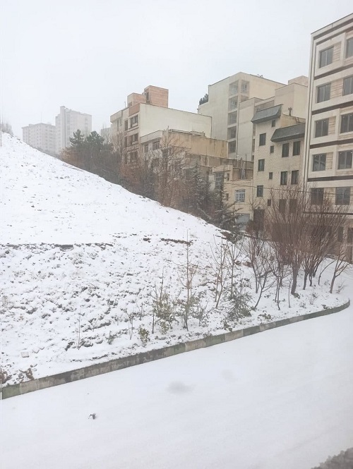 برف، شمال تهران را سفیدپوش کرد