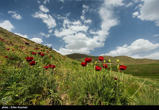 تصاویری از طبیعت زیبای پارک ملی لار