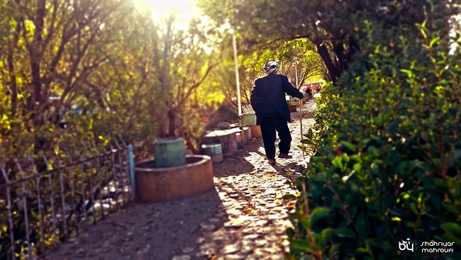 اینجا ایران است (30)