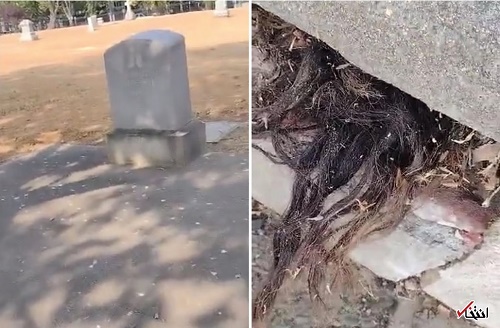تصویر ترسناک از مو‌های بیرون‌‍ زده از یک‌ قبر