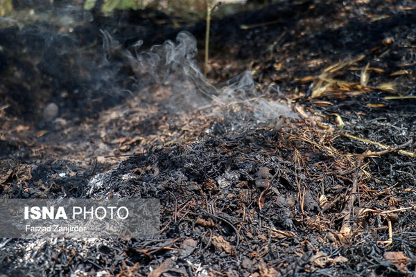 پارک جنگلی فدک در آتش سوخت