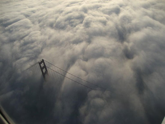 در پس پرده‌ای از جنس مه +عکس