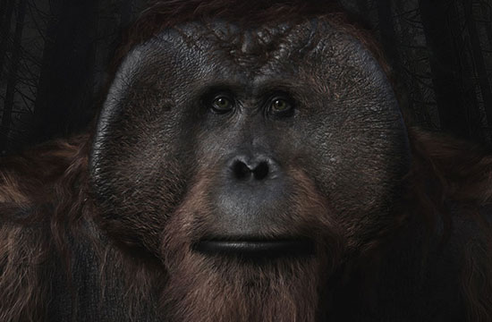 جنگ برای سیاره میمون ها؛ میمون هایی که شبیه انسان اند
