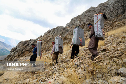 چگونگی اوج‌گیری هشتگ «کولبر نکشید» در توئیتر