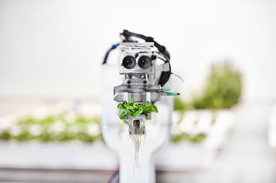 افتتاح مزرعه رباتیک، کشاورزی بدون نیاز به خاک