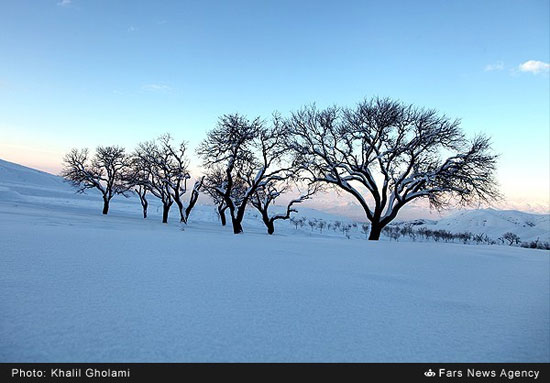 عکس: طبیعت زمستانی و زیبای کوه «میشو»