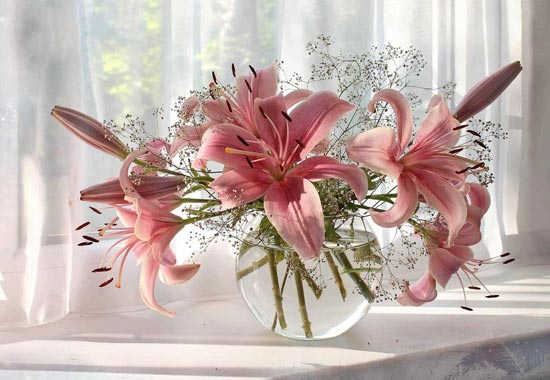 تصاویری از گل و گلدان‌های فوق‌العاده زیبا