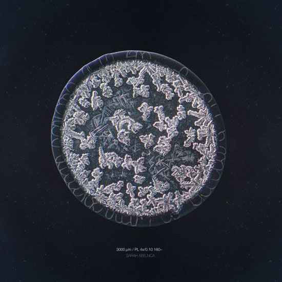 قطره های شگفت انگیز اشک را زیر میکروسکوپ ببینید