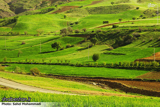 طبیعت محشر کردستان