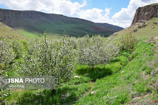 بهشت اردیبهشت ارومیه