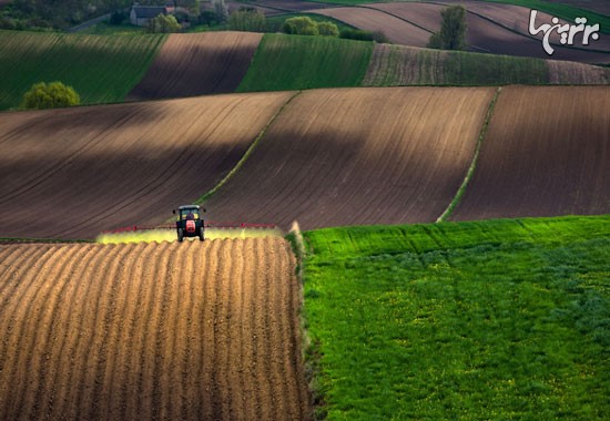 نتیجه 20 سال عکاسی از مزارع اروپایی!