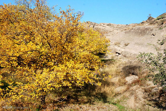 عکس: طبیعت پاییزی ارسباران