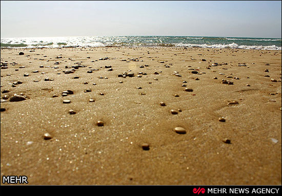 زیبایی خاص سواحل کنگان بوشهر +عکس