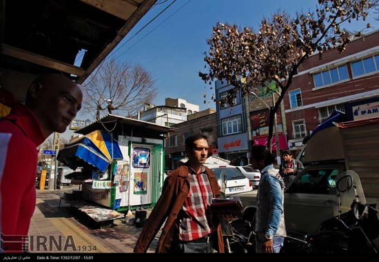 عکس: درخت چای کیسه ای در تهران!