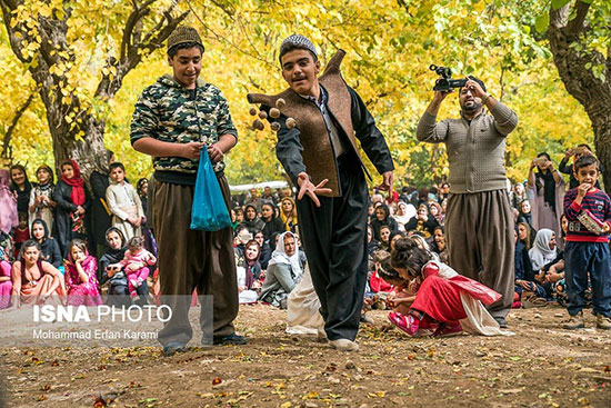 آیین شکرگزاری انار در روستای خانقاه شهرستان پاوه
